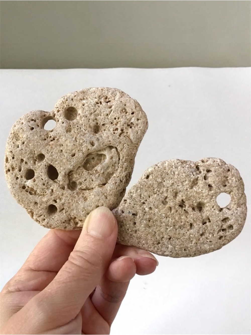 Holey Hag Stones Set of 2 Naturally Formed Florida Beach Rocks Coastal Decor